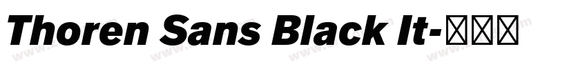 Thoren Sans Black It字体转换